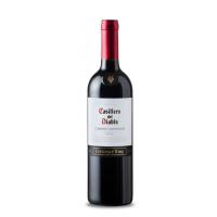 干露酒厂红魔鬼系列卡本妮苏维翁葡萄酒（智利迈波谷）（Concha Y Toro casillero del diablo cabernet sauvignon ）