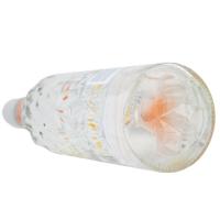 芬兰伏特加(芒果味)(FINLAND VODKA)