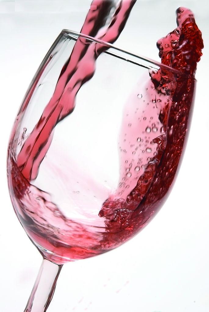 红酒指南-The big red wine book