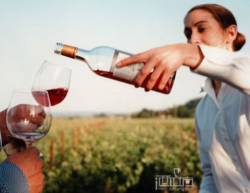 葡萄酒:欧洲人不可缺少的伴侣,葡萄酒,红酒,酒圈网