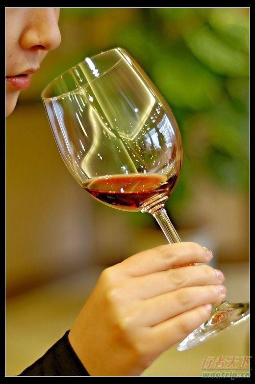 中国葡萄酒不能承受之重,葡萄酒,红酒,酒圈网