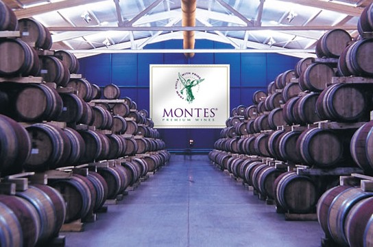 蒙特斯Montes--------智利的年度酒庄