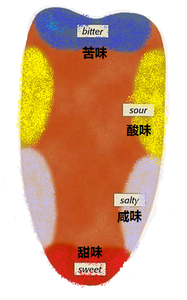 红酒品鉴的天然法宝,葡萄酒,红酒,红葡萄酒,酒圈网